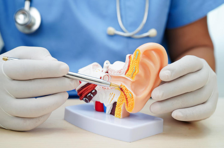 ent specialist in bangalore