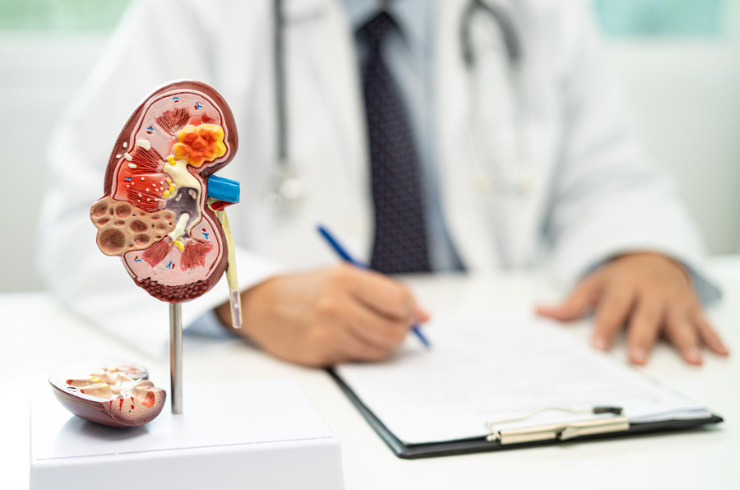 Nephrologists in Sarjapura Bangalore